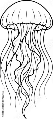 Black and white jellyfish drawing.