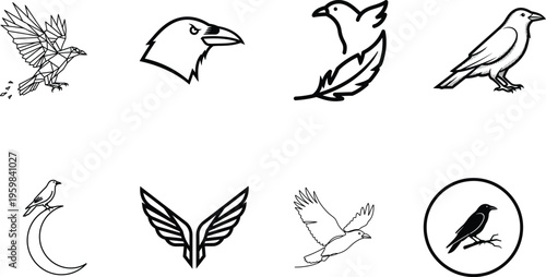 Black and white bird silhouettes and illustrations collection