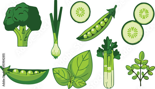  Set of green vegetables and herbs including broccoli cucumber peas onion basil celery sprouts vector illustration fresh organic healthy food collection
