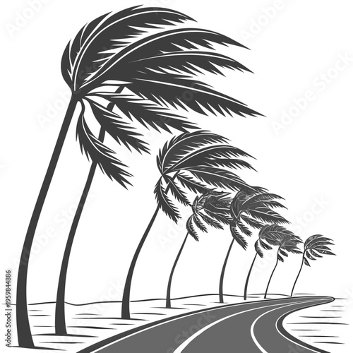 Palm trees on a windy road tropical black and white