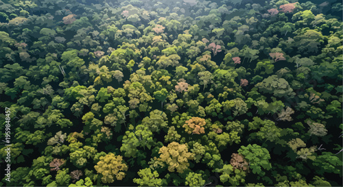 Aerial View of Lush Green Tropical Rainforest Canopy