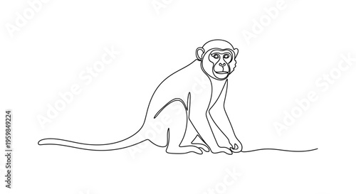 Photography Continuous line drawing of a monkey sitting on a white background