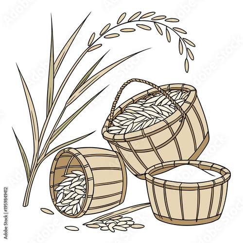 Three baskets with rice and paddy plant food agriculture
