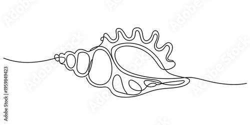 A minimalist single line drawing of an elegant seashell isolated on a clean white background area Vector, illustration