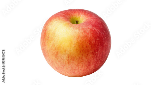 Juicy ripe red and yellow apple standing upright, crisp and fresh fruit for healthy eating