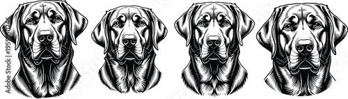 Detailed Black and White Vector Illustration Set of Labrador Retriever Dog Heads in a Hand Drawn Woodcut Engraving Style