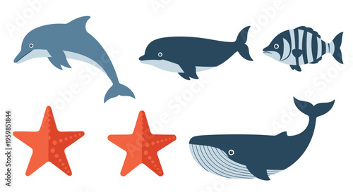 Dolphin Whale Fish Starfish Ocean Animals.