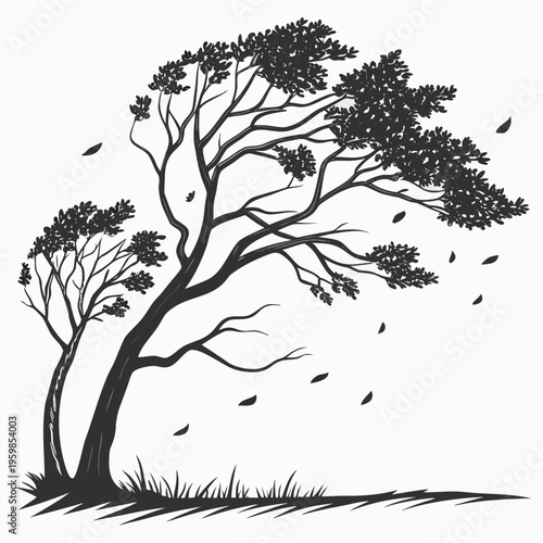 Trees blowing in the wind with leaves falling windy