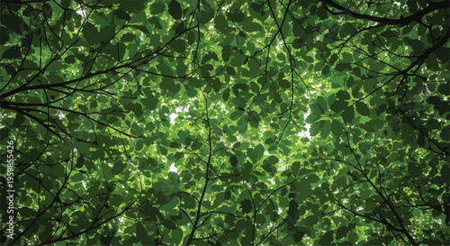 Lush Green Tree Canopy Leaves Vector Background