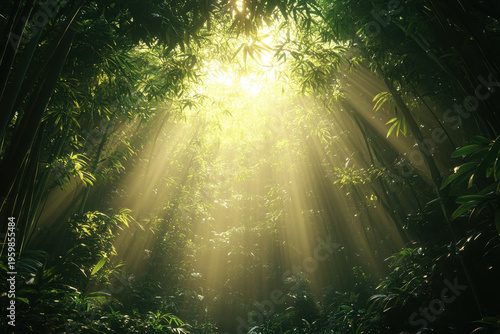 Sunbeam cutting through dense jungle foliage.