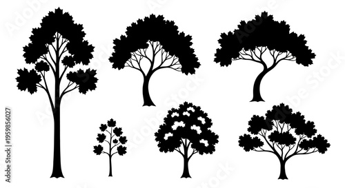 Set of Black Tree Silhouettes Isolated on White Background