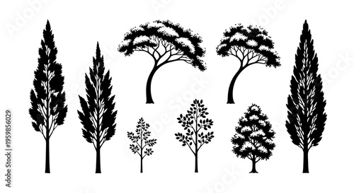 Set of Black Tree Silhouettes Isolated on White Background