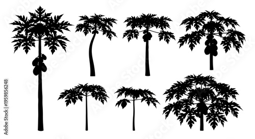 Papaya Tree Silhouettes Collection: Tropical Fruit Plant Vector Graphics
