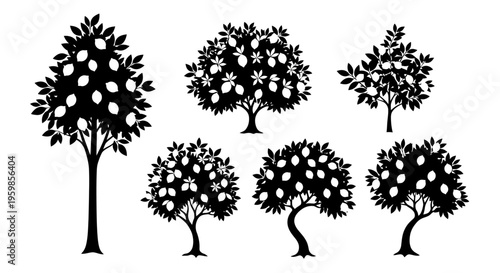 Set of Black Silhouette Citrus Trees with Fruits and Leaves