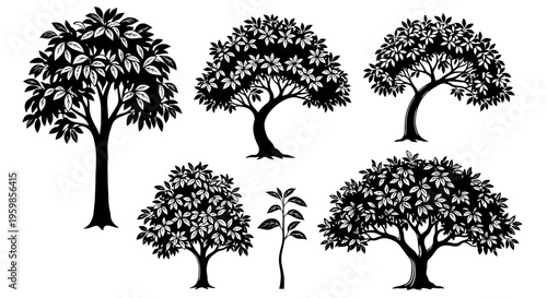 Set of Black Silhouette Trees and Sapling on White Background