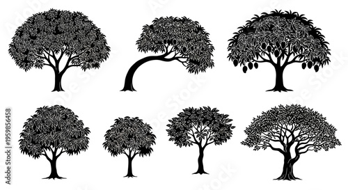 Set of Black Silhouette Mango Trees with Fruits on White Background