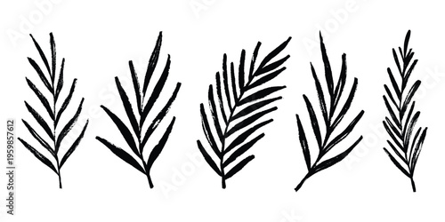 Grunge Brush Palm Leaves Set. Scribble ink palm leaf icon set. Marker, dry paint, crayon tropical vector leaves
