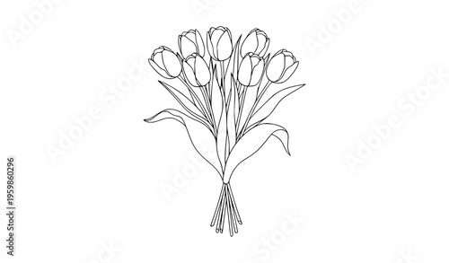 Tulip bouquet line art vector illustration with elegant flowers and stems isolated on white