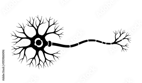 Neural cell silhouette icon with branching structure scientific medical vector design