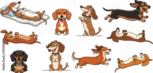 Cute Dachshund Dog Vector Character Set, Funny Sausage Dog Poses Collection with Teckel Puppies, Playful Wiener Dog Illustrations for Pet Design
