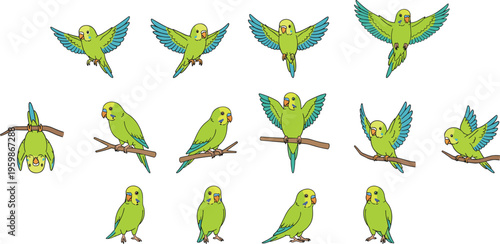 Cartoon vector illustration of colorful parakeets in multiple poses including flying, perching, standing, and playful upside‑down actions