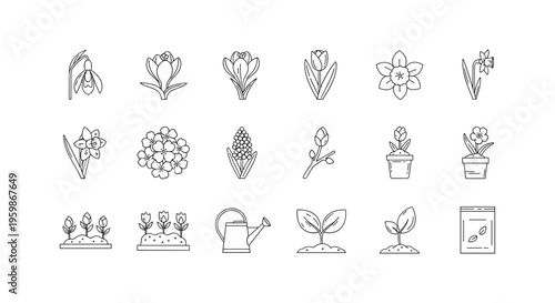 Linear spring flower and gardening icons for seasonal design projects