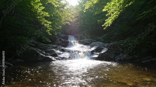 Serene River Flowing Through Forest.