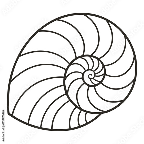Bild auf Leinwand Black line art of a nautilus shell