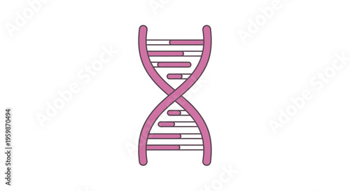 DNA Double Helix Structure Model.