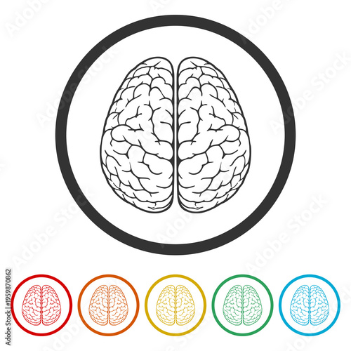 Human brain icon. Set icons in color circle buttons