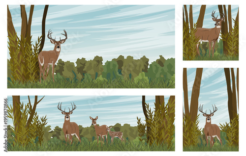 White-tailed deer family in forest landscape banners, whitetail buck, doe and fawn in summer woodland, nature horizontal and vertical backgrounds, vector illustration set

