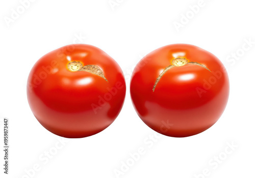 Two ripe red tomatoes with cracks showcasing imperfections on transparent background