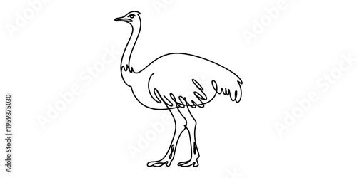 Minimalist single line drawing of an ostrich bird standing on a plain white background design Vector, illustration