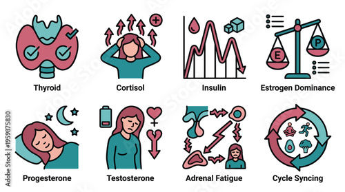 Women's hormone health and endocrine balance infographic icons set
