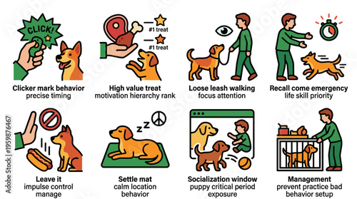 Essential Dog Training Techniques and Puppy Behavior Education Infographic
