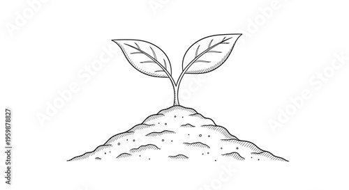 Hand drawn sketch of a young plant seedling growing from a mound of soil.