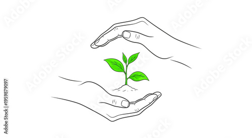 Hands protecting a small green plant seedling in soil.