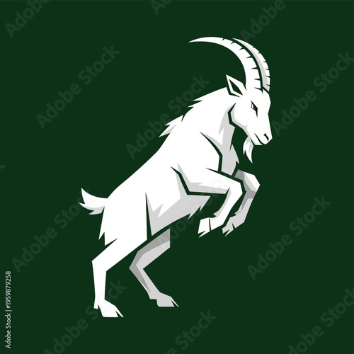 Dynamic White Mountain Goat Rearing Up on Hind Legs.