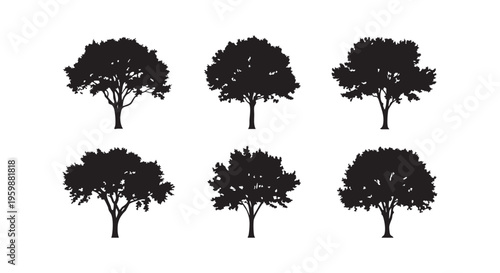 Six black silhouette trees on white background for design and decoration isolated on transparent background