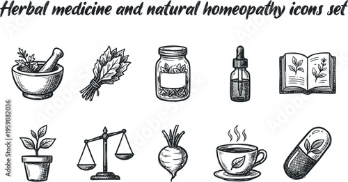 Herbal medicine and natural homeopathy icons set hand drawn vintage sketch style