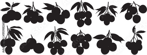 silhouette cherry fruit set with bunches, black sweet cherries with leaves, organic healthy food concept, vector illustration