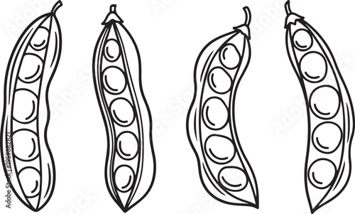 Natural green pea pods illustration featuring organic vegetable harvest for vegan diet and healthy eating lifestyle graphic designs