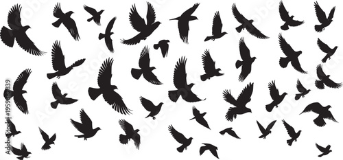 Flying birds silhouettes. flock of birds isolated on white background, vector illustration