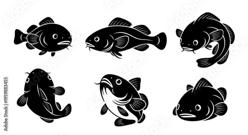 Set of Six Black and White Illustrations of Various Fish Species