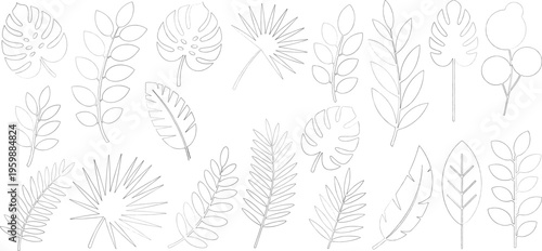 Botanical set of flowers, branches, and leaves. line art illustrations of various tropical foliage, including monstera and fern leaves. vector