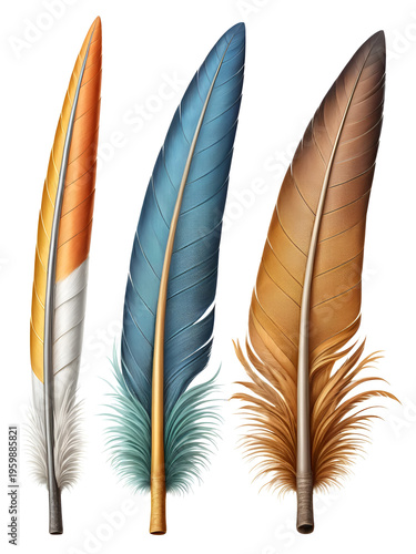 Set of three realistic long pointed bird beaks showing detailed anatomy and plumage isolated on white background