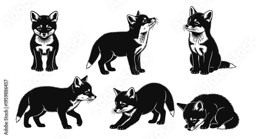Set of Six Black Fox Kits Illustrations in Various Poses