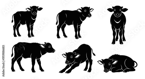 Set of Six Black Buffalo Calves Silhouettes in Various Poses on White Background