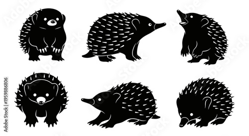 Set of six black echidna illustrations on a white background
