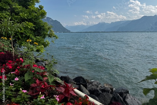  Scenic view of Lake Geneva with Swiss Alps and blooming pink flowers on rocky shore, summer landscape of Montreux riviera in Switzerland, picturesque alpine lake panorama